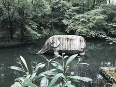 -紫金山山顶公园