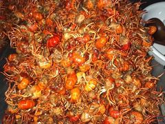 -回味南塘老王虾尾(总店)