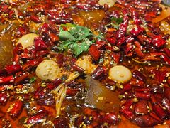 -馋嘴猫北京食堂·烤鸭·宵夜(亚运村店)