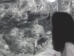-南昌海洋公园