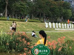 -光明小镇欢乐田园