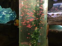 -长鹿旅游休博园
