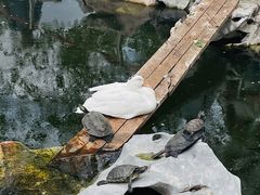 -龙华寺