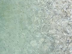 -东疆建设开发纪念公园