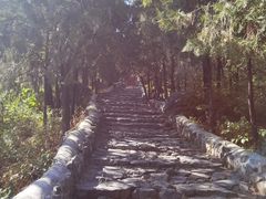 -阳台山自然风景区