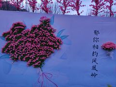 -北京凤凰岭