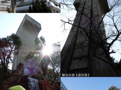 -大埔公路-马料水段香港中文大学(公交站)