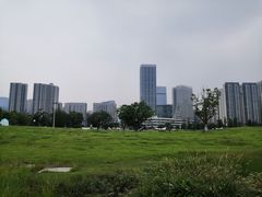 -桂溪生态公园