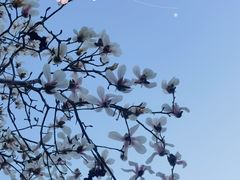 -时代奥城商业广场