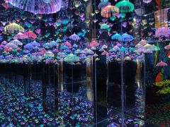 -梵高星空艺术馆(北京旗舰店)