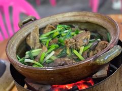 -霞姐屯昌枫木香草鸭店(海螺店)
