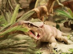 -国家自然博物馆