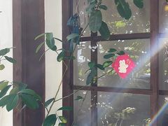 -白熊咖啡(闽江大道店)