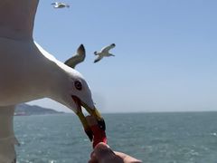 -海驴岛(荣成市)