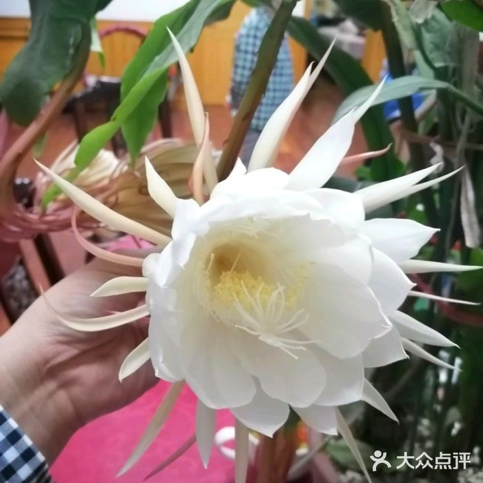 西餐厅(南通文化宫店)图片