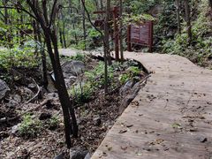 -大岭沟猕猴桃谷风景区