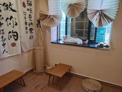 -楼上猫咖(罗湖店)