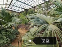 -呀路古热带植物园