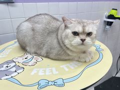 -Oh My Dog宠物沙龙(伊珊娜皮毛护理店)