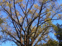 -南山风景名胜区