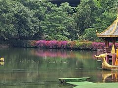 -西双版纳原始森林公园