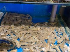 -辣盆盆麻辣小龙虾(哈尔滨总店)