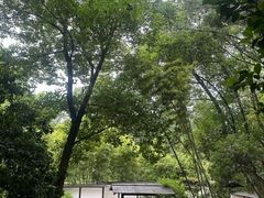 -新洲生态园