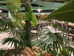 -春润大地海南椰子鸡(沙井京基百纳广场店)