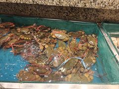 -初色海鲜自助(万丰路店)