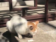 -雨花胜境