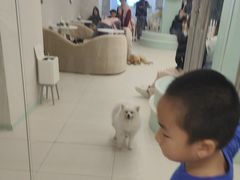 -怪兽屋·羊驼·猫咖·狗咖(俊华广场店)