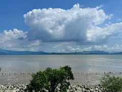 -深圳湾公园(南山区)