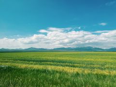 -山丹皇家马场