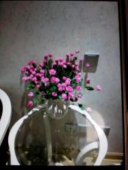 -悦芳庭美肤美体品牌集合店