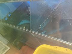 -鱼酷活鱼烤鱼(沈阳大悦城店)