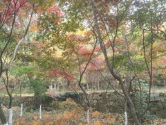 -白马涧龙池景区