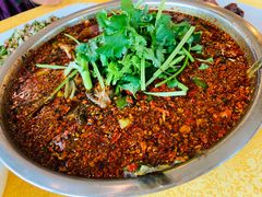 -胖大姐黄辣丁鱼庄(新津店)