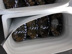 -小陆莲花蟹园农家乐(莲花岛店)