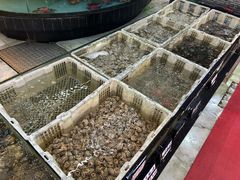 -鹏城人家海鲜酒家·23年老字号(较场尾店)