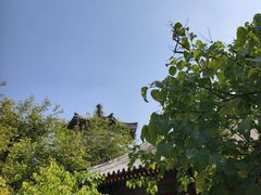 -宫事颐庭·老佛爷贵寿下午茶(颐和园店)