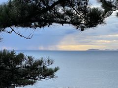 -滨千鸟之汤 海舟
