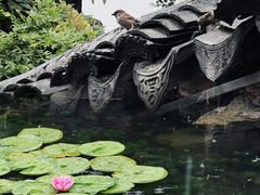 -烧货·活海鲜炭烧(湖滨商业街店)