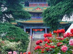 -阅江楼风景区