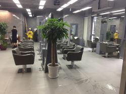 -INS羽毛接发·巴黎画染