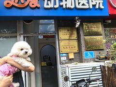 -达爱动物医院·犬猫分区·CT·复杂眼科(远洋山水分院)