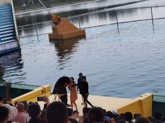 -秦皇岛乐岛海洋王国