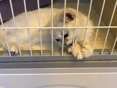 -泉乐坊步行街(烟酒特产平价超市店)