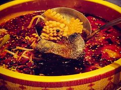 -香乐园·淮扬菜中餐厅·Shang Garden(福田香格里拉店)