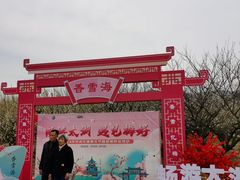 -香雪海
