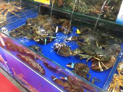 -东江海鲜酒家(艺都分店)